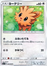 Cヨーテリー