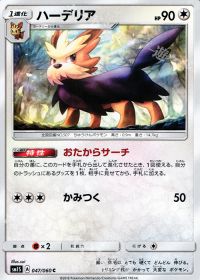 Cハーデリア