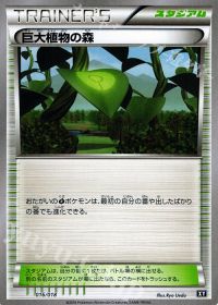 TD巨大植物の森