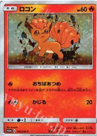 ロコン