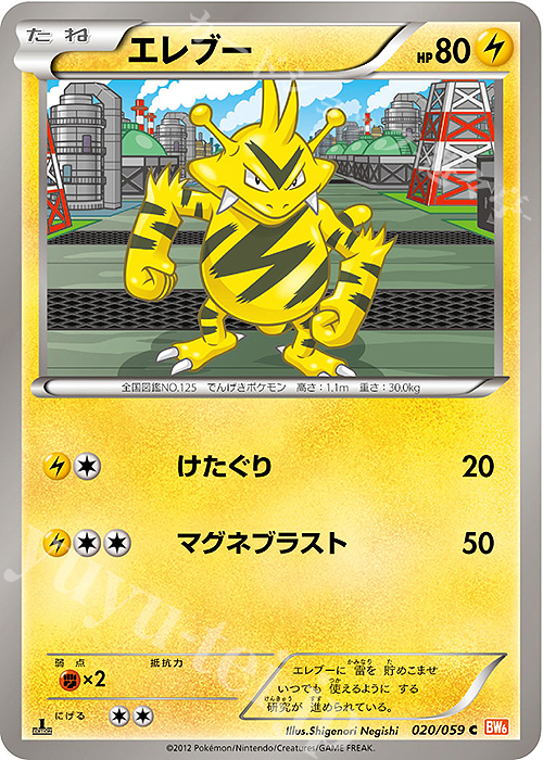 C エレブー | 販売 | [BW6] 拡張パック コールドフレア | ポケモンカードゲーム
