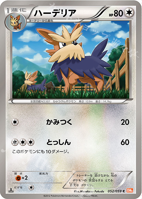 C ハーデリア | 買取 | [BW6] 拡張パック コールドフレア | ポケモンカードゲーム