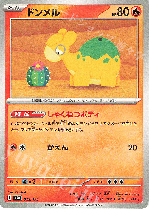 - ドンメル | 販売 | [M2a] ハイクラスパック MEGAドリームex | ポケモンカードゲーム