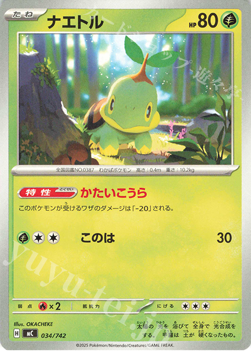 TD ナエトル | 買取 | [MC] スタートデッキ100 バトルコレクション | ポケモンカードゲーム