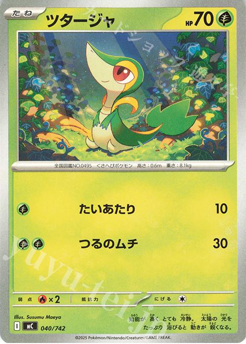 TD ツタージャ | 買取 | [MC] スタートデッキ100 バトルコレクション | ポケモンカードゲーム