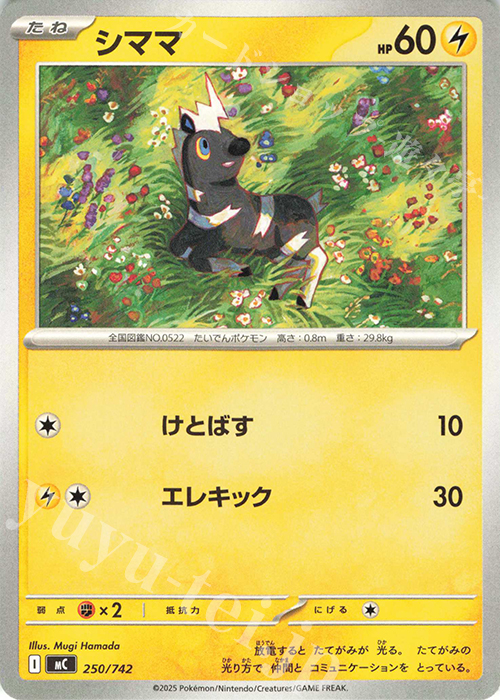 TD シママ | 買取 | [MC] スタートデッキ100 バトルコレクション | ポケモンカードゲーム