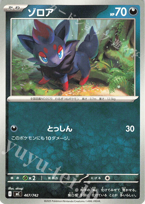 TD ゾロア | 買取 | [MC] スタートデッキ100 バトルコレクション | ポケモンカードゲーム