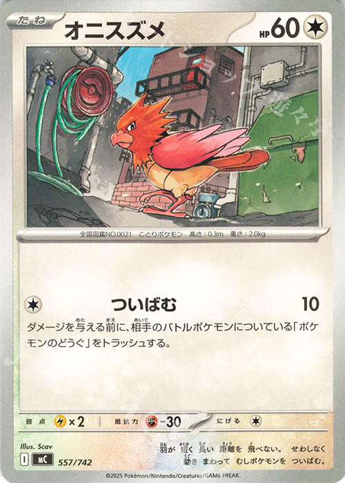 TD オニスズメ | 買取 | [MC] スタートデッキ100 バトルコレクション | ポケモンカードゲーム