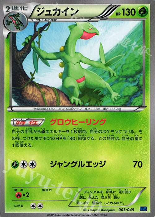 TD ジュカイン | 販売 | [MMBS] メガマスターデッキビルドBOX スピードスタイル | ポケモンカードゲーム