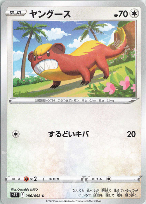C ヤングース | 販売 | [S12] 拡張パック パラダイムトリガー | ポケモンカードゲーム
