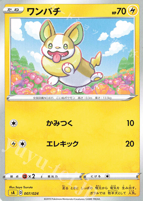 TD ワンパチ | 買取 | [SA] スターターセットV 雷 | ポケモンカードゲーム