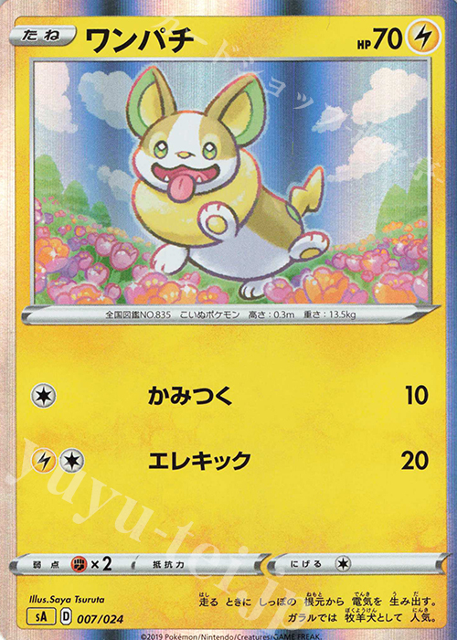 S-TD ワンパチ(R仕様) | 販売 | [SA] スターターセットV 雷 | ポケモンカードゲーム