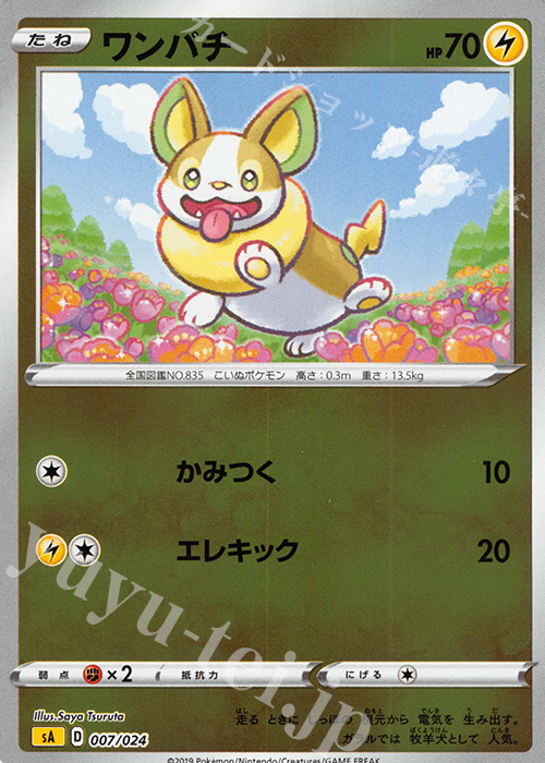S-TD ワンパチ(ミラー仕様) | 販売 | [SA] スターターセットV 雷 | ポケモンカードゲーム