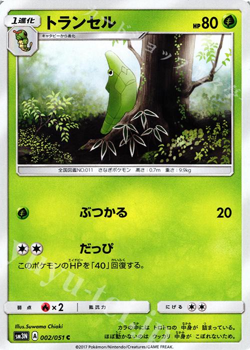 C トランセル | 販売 | [SM3N] 拡張パック 光を喰らう闇 | ポケモンカードゲーム