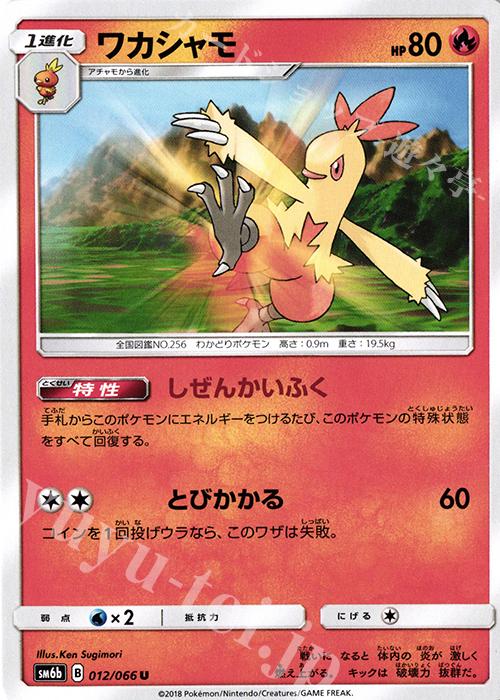 U ワカシャモ | 販売 | [SM6b] 強化拡張パック チャンピオンロード | ポケモンカードゲーム
