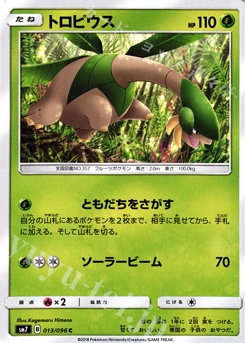 C トロピウス | 販売 | [SM7] 拡張パック 裂空のカリスマ | ポケモンカードゲーム