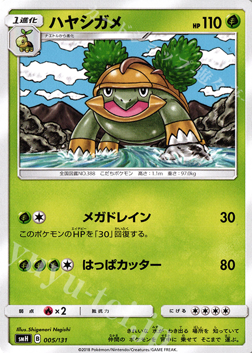 TD ハヤシガメ | 販売 | [SMH] GXスタートデッキ | ポケモンカードゲーム