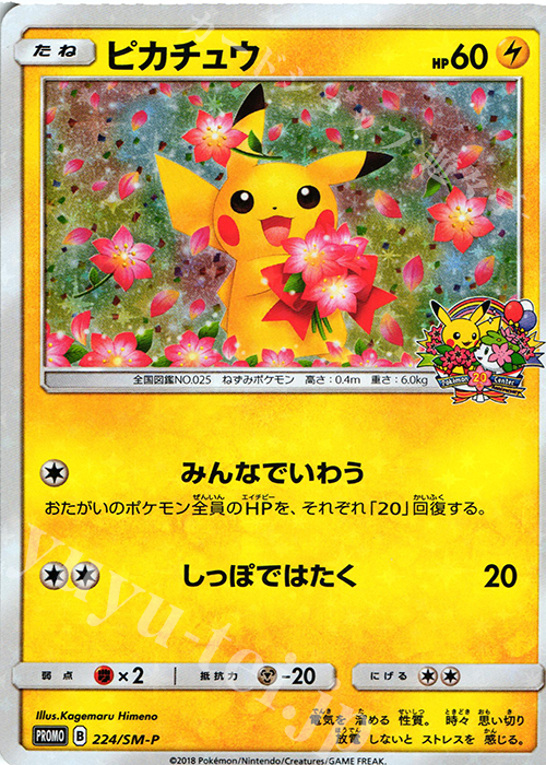 PROMO ピカチュウ | 販売 | SM プロモーションカード【201〜300】 | ポケモンカードゲーム
