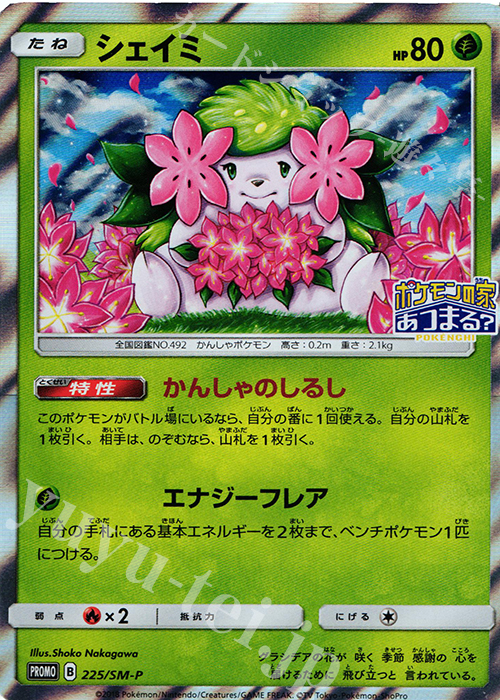 PROMO シェイミ | 販売 | SM プロモーションカード【201〜300】 | ポケモンカードゲーム