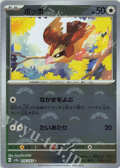 C ポッポ(モンスターボール柄/ミラー仕様) | 販売 | [SV2a] 強化拡張パック ポケモンカード151 | ポケモンカードゲーム