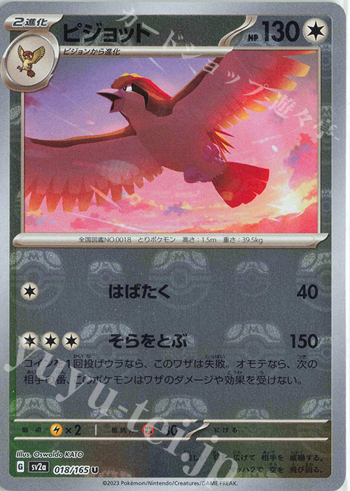U ピジョット(マスターボール柄/ミラー仕様) | 買取 | [SV2a] 強化拡張パック ポケモンカード151 | ポケモンカードゲーム