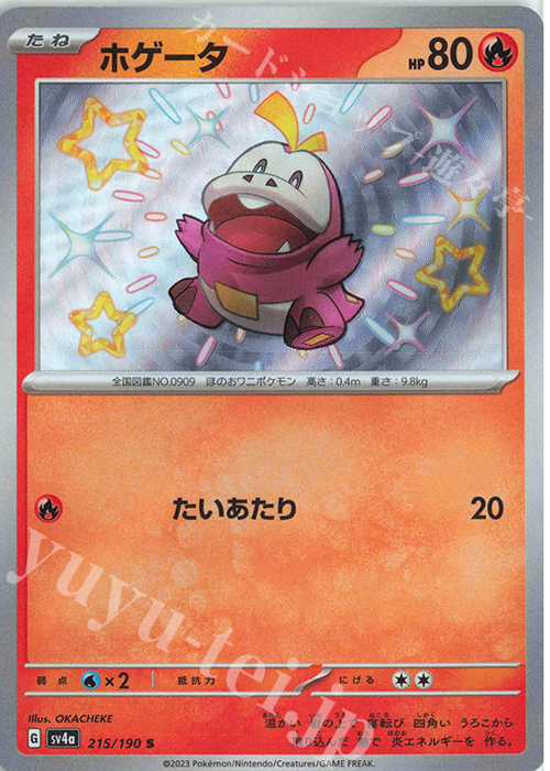 S ホゲータ | 販売 | [SV4a] ハイクラスパック シャイニートレジャーex | ポケモンカードゲーム