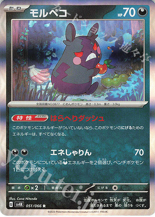 R モルペコ | 販売 | [SV4K] 拡張パック 古代の咆哮 | ポケモンカードゲーム