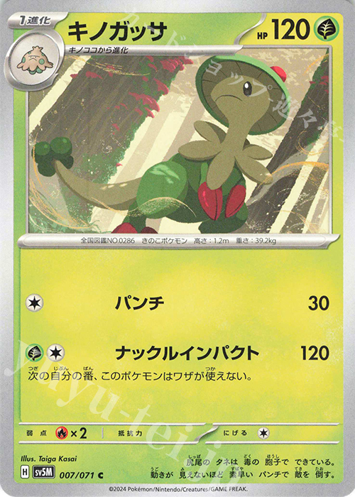 C キノガッサ | 販売 | [SV5M] 拡張パック サイバージャッジ | ポケモンカードゲーム
