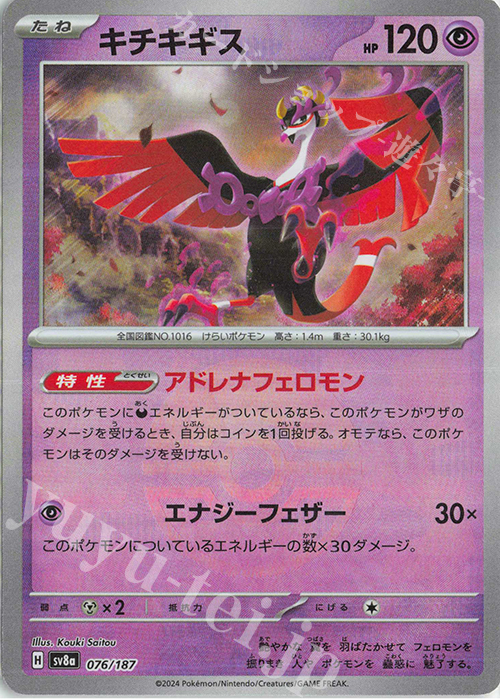 - キチキギス(モンスターボール柄/ミラー仕様) | 販売 | [SV8a] ハイクラスパック テラスタルフェスex | ポケモンカードゲーム