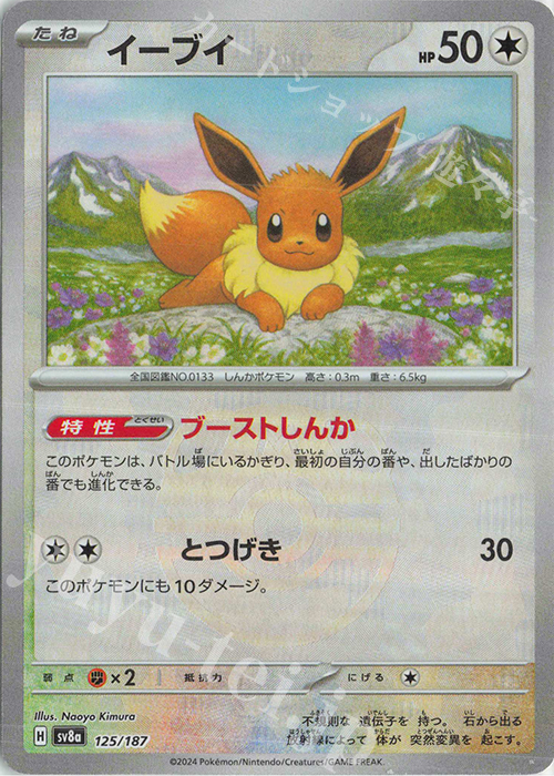 - イーブイ(マスターボール柄/ミラー仕様) | 販売 | [SV8a] ハイクラスパック テラスタルフェスex | ポケモンカードゲーム