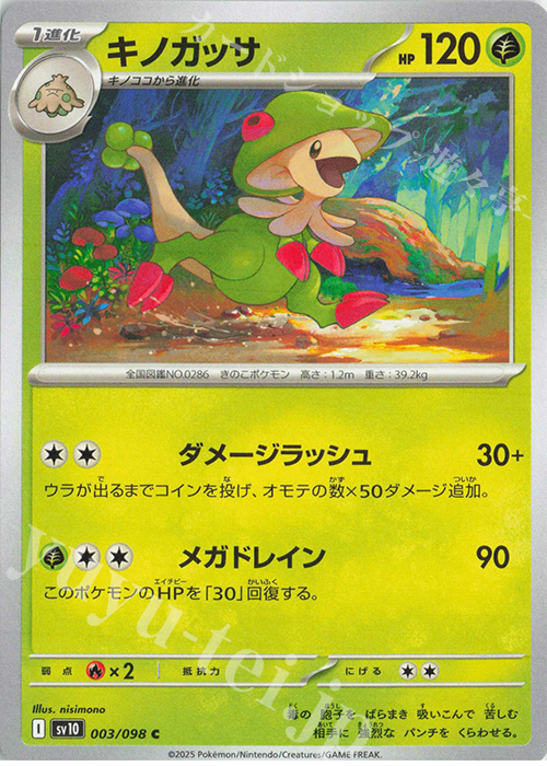 C キノガッサ | 販売 | [SV10] 拡張パック ロケット団の栄光 | ポケモンカードゲーム