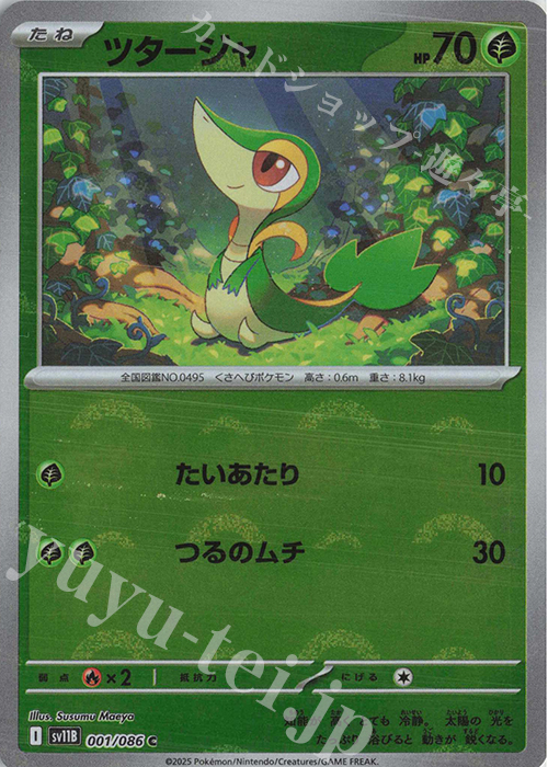 C ツタージャ(モンスターボール柄/ミラー仕様) | 販売 | [SV11B] 拡張パック ブラックボルト | ポケモンカードゲーム