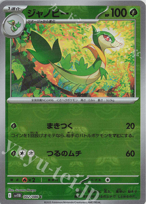 C ジャノビー(マスターボール柄/ミラー仕様) | 販売 | [SV11B] 拡張パック ブラックボルト | ポケモンカードゲーム