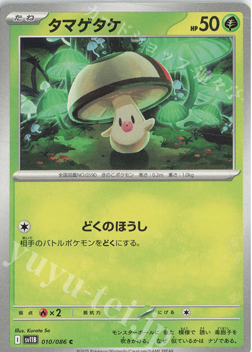 C タマゲタケ | 販売 | [SV11B] 拡張パック ブラックボルト | ポケモンカードゲーム