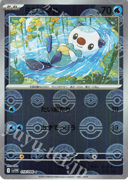 C ミジュマル(モンスターボール柄/ミラー仕様) | 買取 | [SV11W] 拡張パック ホワイトフレア | ポケモンカードゲーム