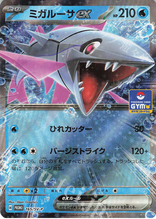 PROMO ミガルーサex | 販売 | SV プロモーションカード【101〜200】 | ポケモンカードゲーム