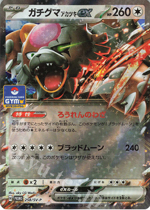 PROMO ガチグマアカツキex | 販売 | SV プロモーションカード【201〜300】 | ポケモンカードゲーム