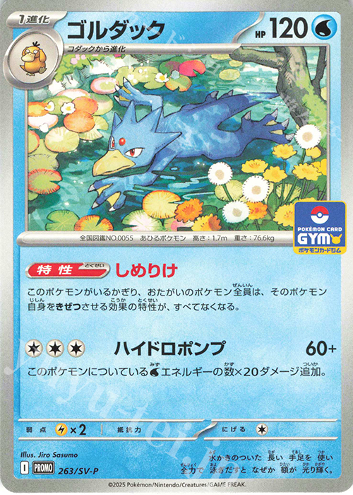PROMO ゴルダック | 販売 | SV プロモーションカード【201〜300】 | ポケモンカードゲーム
