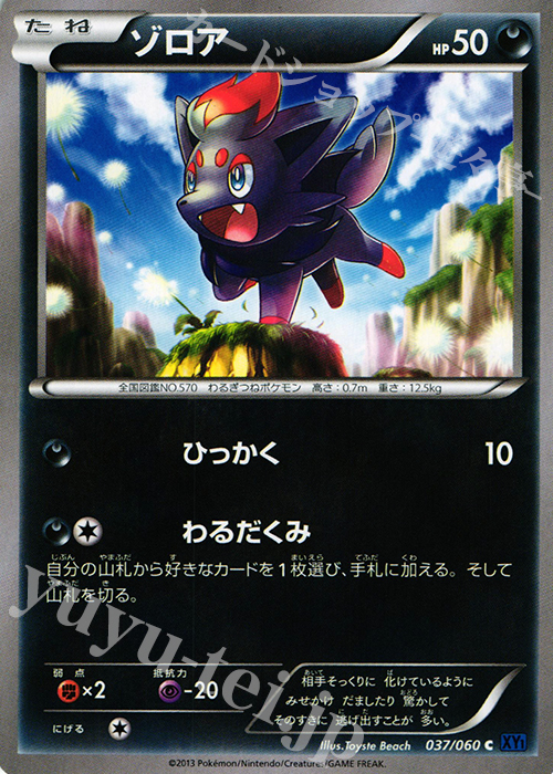 C ゾロア | 買取 | [XY1] コレクションX | ポケモンカードゲーム