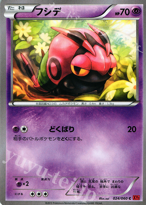 C フシデ | 買取 | [XY1] コレクションY | ポケモンカードゲーム