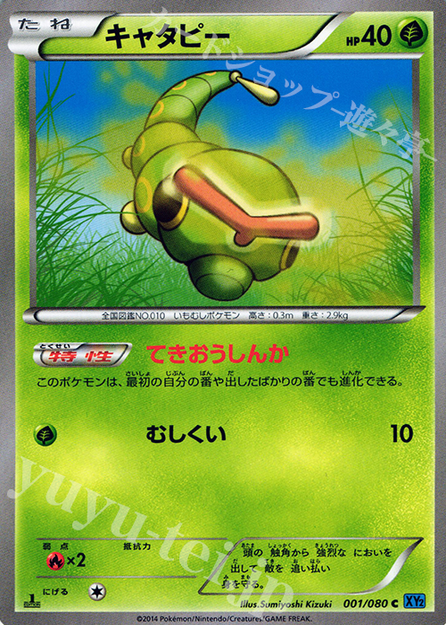 C キャタピー | 販売 | [XY2] ワイルドブレイズ | ポケモンカードゲーム