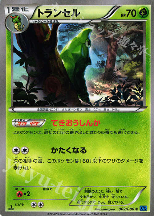 C トランセル | 販売 | [XY2] ワイルドブレイズ | ポケモンカードゲーム