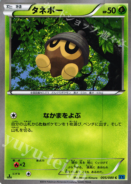 C タネボー | 販売 | [XY2] ワイルドブレイズ | ポケモンカードゲーム