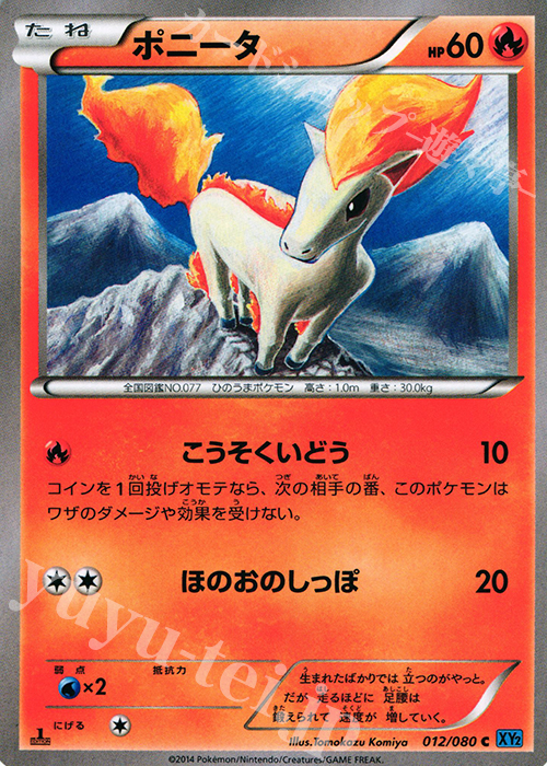 C ポニータ | 販売 | [XY2] ワイルドブレイズ | ポケモンカードゲーム
