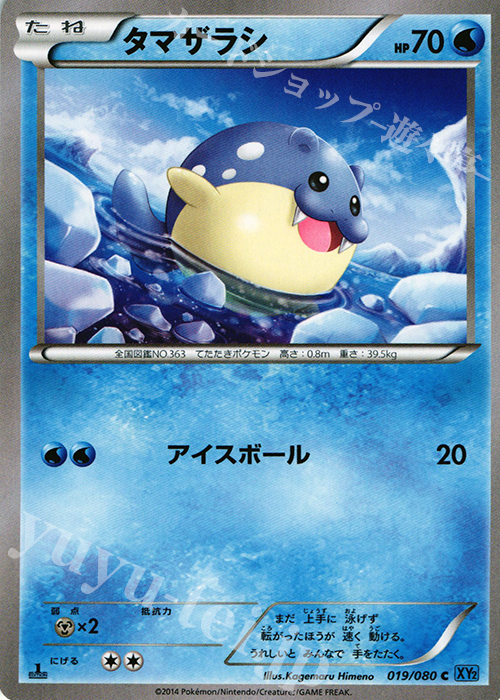 C タマザラシ | 販売 | [XY2] ワイルドブレイズ | ポケモンカードゲーム