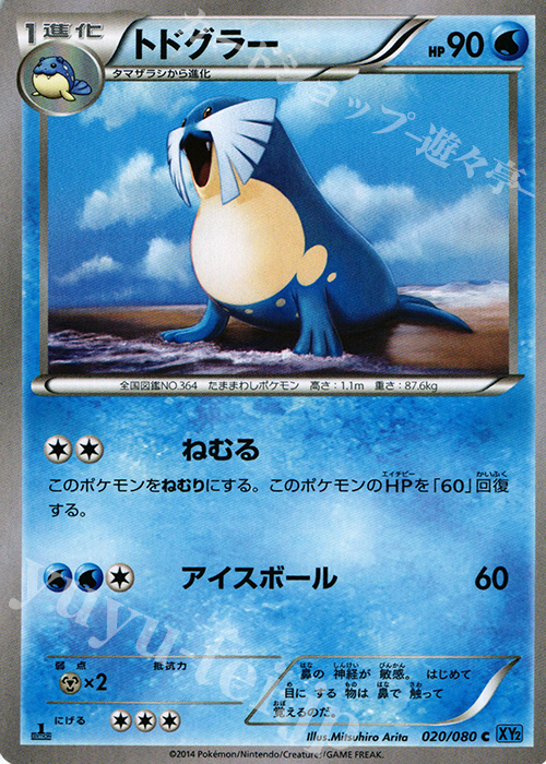 C トドグラー | 販売 | [XY2] ワイルドブレイズ | ポケモンカードゲーム