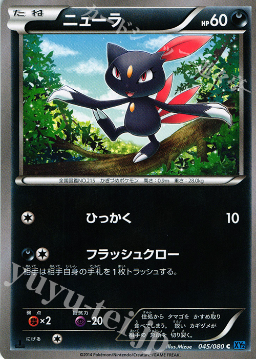 C ニューラ | 販売 | [XY2] ワイルドブレイズ | ポケモンカードゲーム
