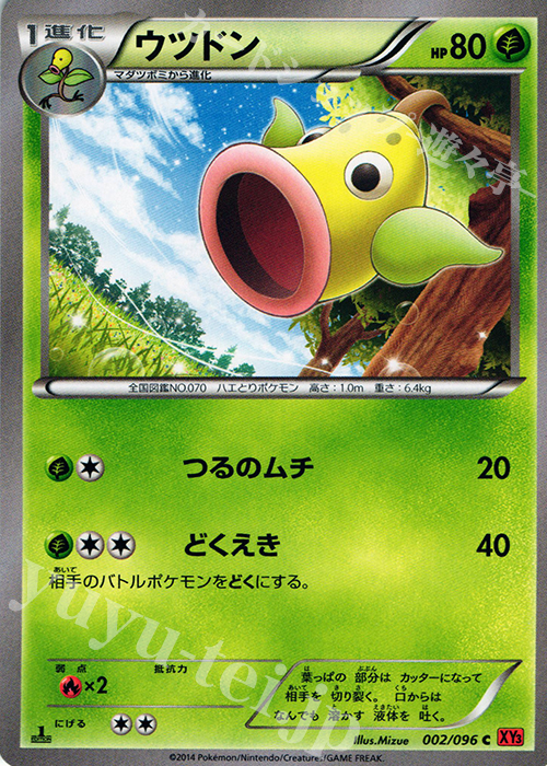 C ウツドン | 販売 | [XY3] ライジングフィスト | ポケモンカードゲーム