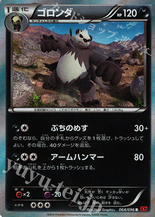 R ゴロンダ | 販売 | [XY3] ライジングフィスト | ポケモンカードゲーム
