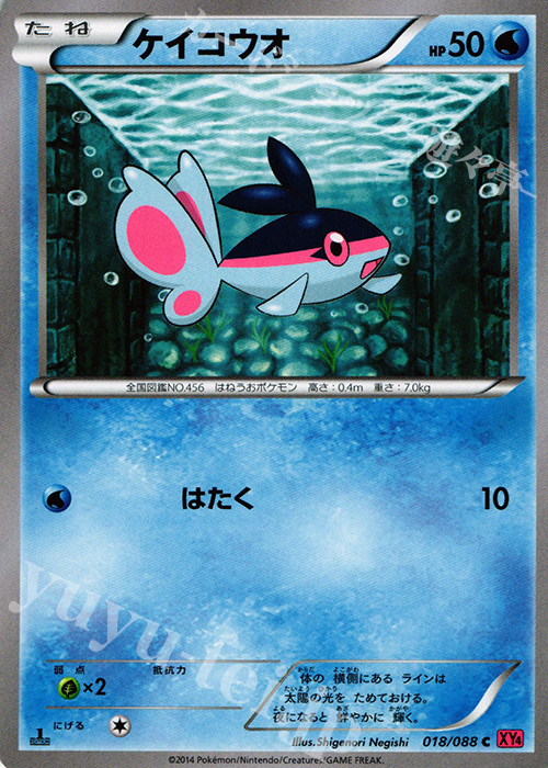 C ケイコウオ | 販売 | [XY4] ファントムゲート | ポケモンカードゲーム